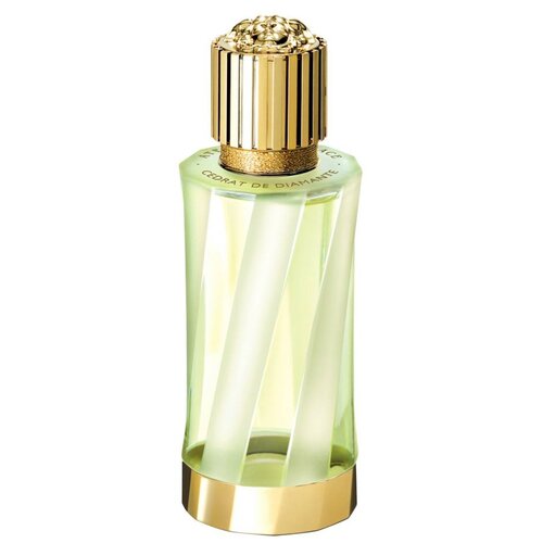 Versace парфюмерная вода Atelier Cedrat de Diamante, 100 мл versace atelier cedrat de diamante eau de parfum