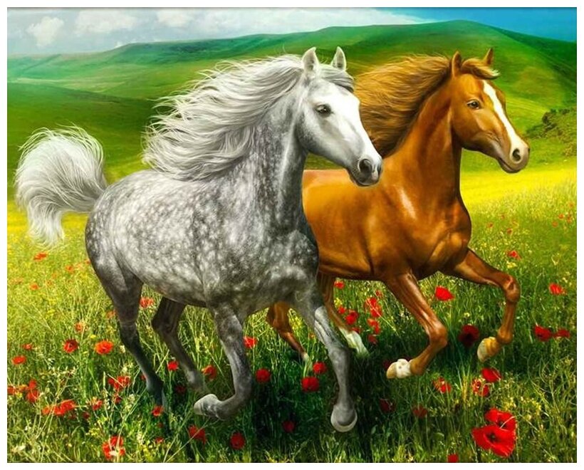 Алмазная мозаика круглая Colibri Пара лошадей 40х50 см