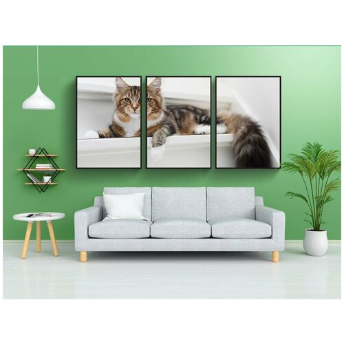 фото Набор модулных постеров для интерьера "кошка, похмелье, pet" 60x90 см. в тубусе, без рамки lotsprints