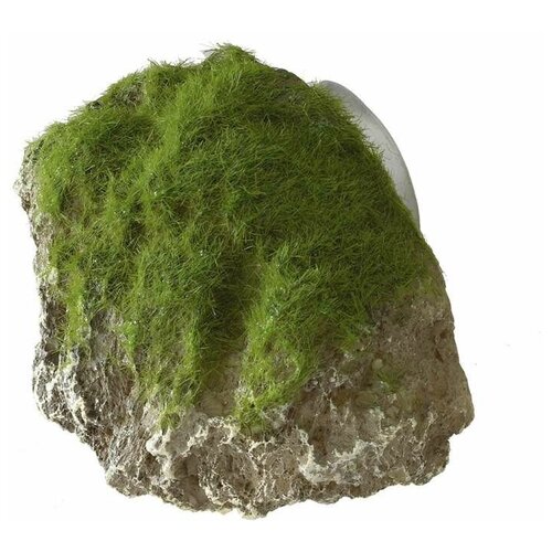Декоративный камень с мхом для аквариума AQUA DELLA Moss Stone, 9x6x6.5см (Бельгия)