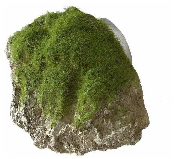 AQUA DELLA Декоративный камень с мхом для аквариума "Moss Stone", 9x6x6.5см - фото №1