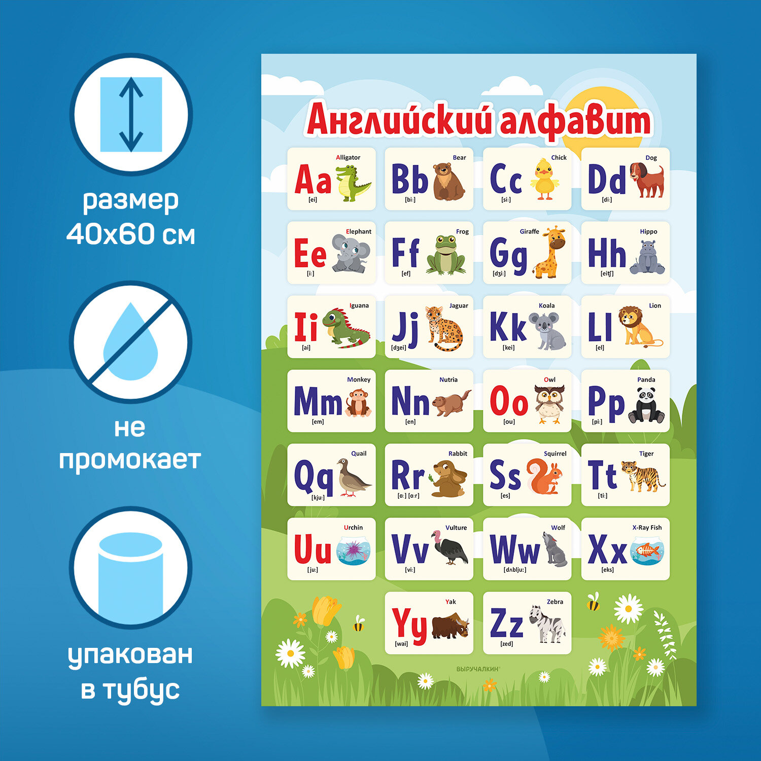 Плакат Английский алфавит