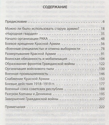 «От тайги до британских морей…» Почему Красная Армия победила в Гражданской войне - фото №9