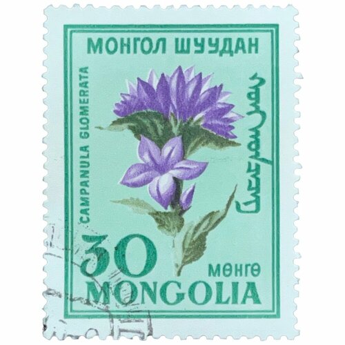Почтовая марка Монголия 30 мунгу 1960 г. Стандартные марки. Цветы (2) почтовая марка монголия 30 мунгу 1960 г газеты серия 40 лет монгольской прессе
