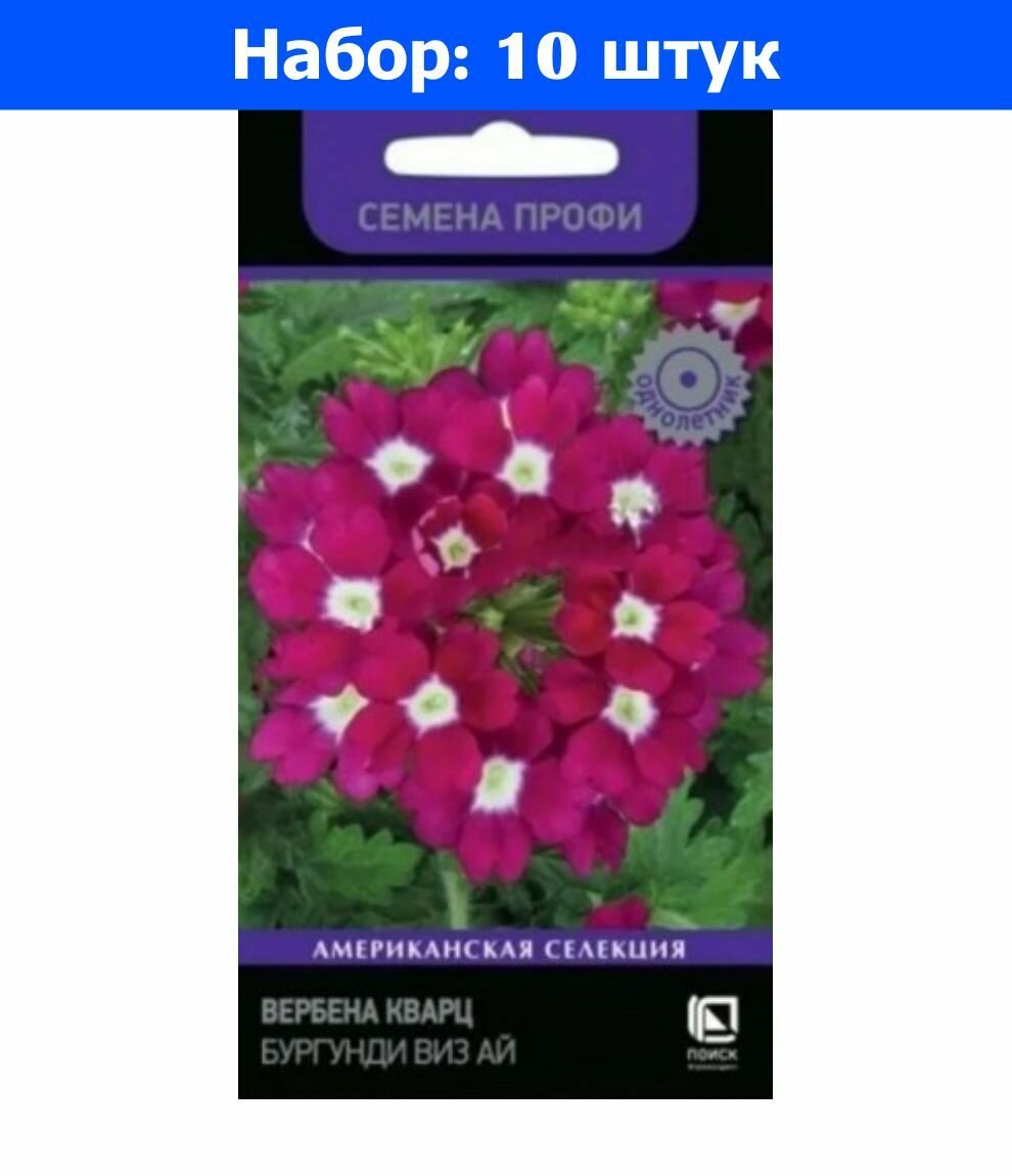 Вербена Кварц Бургунди виз ай 10шт Одн 20см (Поиск) Семена Профи - 10 пачек семян