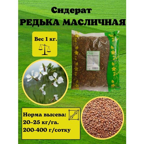 Семена редька масличная 1 кг, сидерат редька масличная семена редька масличная тамбовчанка 0 5 кг в пакете гавриш