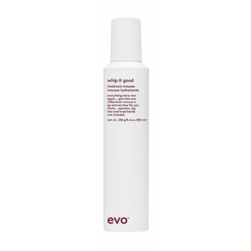 Evo Whip It Good Мусс для укладки 8686₽
