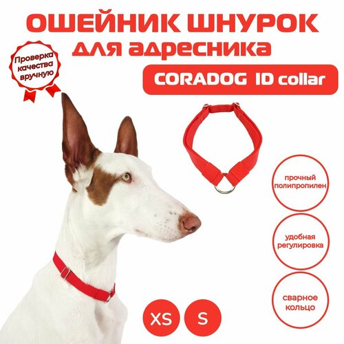 Ошейник шнурок для адресника, CORADOG ID collar, размер S, красный