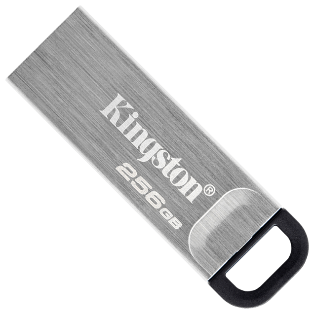 Флешка USB Kingston DataTraveler 256ГБ, USB3.2, серебристый и черный [dtkn/256gb] - фото №11