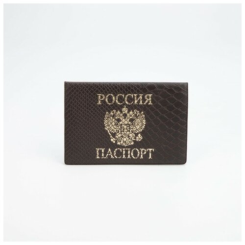ООО Все товары 1 Обложка для паспорта, цвет коричневый