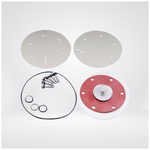 Ремкомплект редуктора EMER PALLADIO (250 KW 1.4 bar)