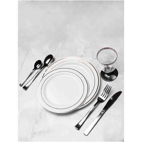 Набор одноразовой посуды / Комплект посуды на 10 персон / Одноразовые тарелки / Столовые приборы / Бокалы