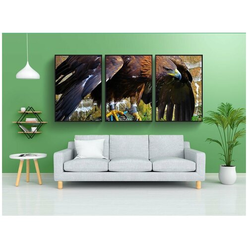 фото Набор модулных постеров для интерьера "орел, хищник, птица" 60x90 см. в тубусе, без рамки lotsprints