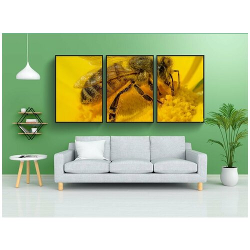 фото Набор модулных постеров для интерьера "пчела, желтый, насекомое" 60x90 см. в тубусе, без рамки lotsprints