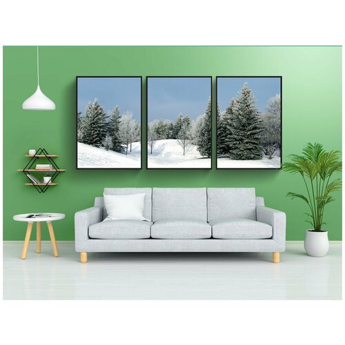 фото Набор модулных постеров для интерьера "зима, вечнозеленый, деревья" 60x90 см. в тубусе, без рамки lotsprints