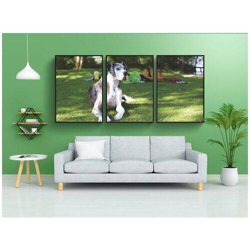 фото Набор модулных постеров для интерьера "животное, собака, домашнее животное" 60x90 см. в тубусе, без рамки lotsprints