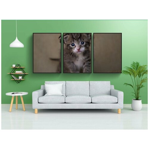 фото Набор модулных постеров для интерьера "котенок, кошка, детка" 60x90 см. в тубусе, без рамки lotsprints
