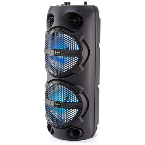 Колонка Loona PartySOUNDL32 черный 428000₽