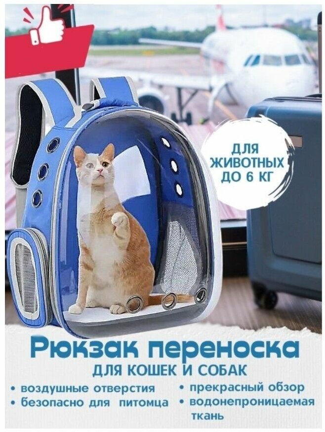 Рюкзак переноска для собак и кошек с иллюминатором / Ранец для животных с панорамным видом Morento синий - фотография № 1