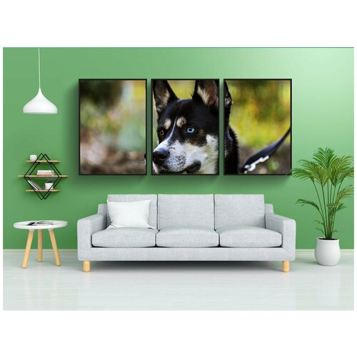 фото Набор модулных постеров для интерьера "собака, хаски, зима" 60x90 см. в тубусе, без рамки lotsprints