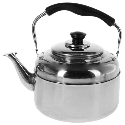 Чайник 4 л нержавеющая сталь 181000₽