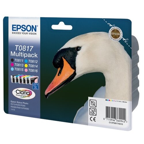 Комплект картриджей Epson C13T08174A10/C13T11174A10, 300 стр, многоцветный