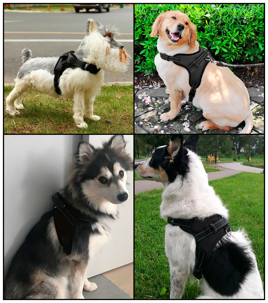 Шлейка для собак/шлейка прогулочная/ремень для собак/поводок (размер S, черная) - фотография № 5