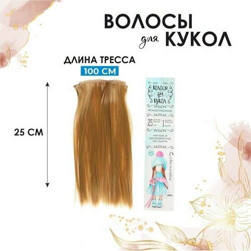 Школа талантов Волосы-тресс для кукол «Прямые» длина волос: 25 см, ширина: 100 см, цвет № 27
