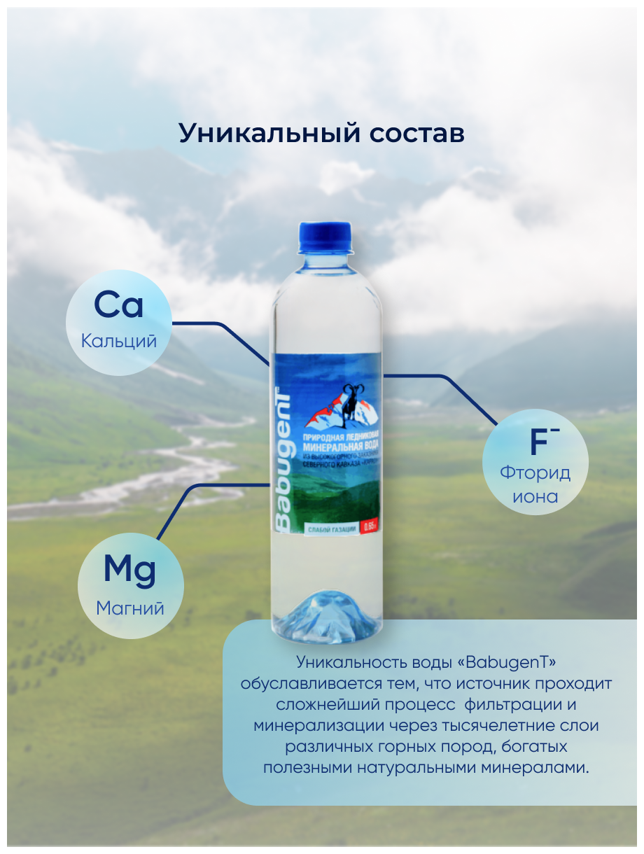 Вода питьевая газированная (слабой газации) 0,37 л по 12 шт в упак / родниковая / живая - фотография № 3