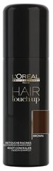 L'Oreal Professionnel Спрей Hair touch up, коричневый, 75 мл, 75 г