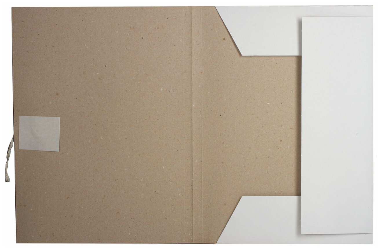 Папка для бумаг с завязками картонная BRAUBERG, гарантированная плотность 280 г/м2, до 200 л, 122292 В комплекте: 10шт. - фото №2