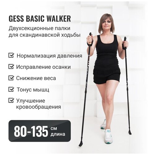 фото Basic walker палки для скандинавской ходьбы (двухсекционные) ecosapiens