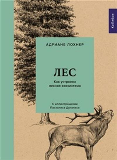 Лохнер Лес. Как устроена лесная экосистема