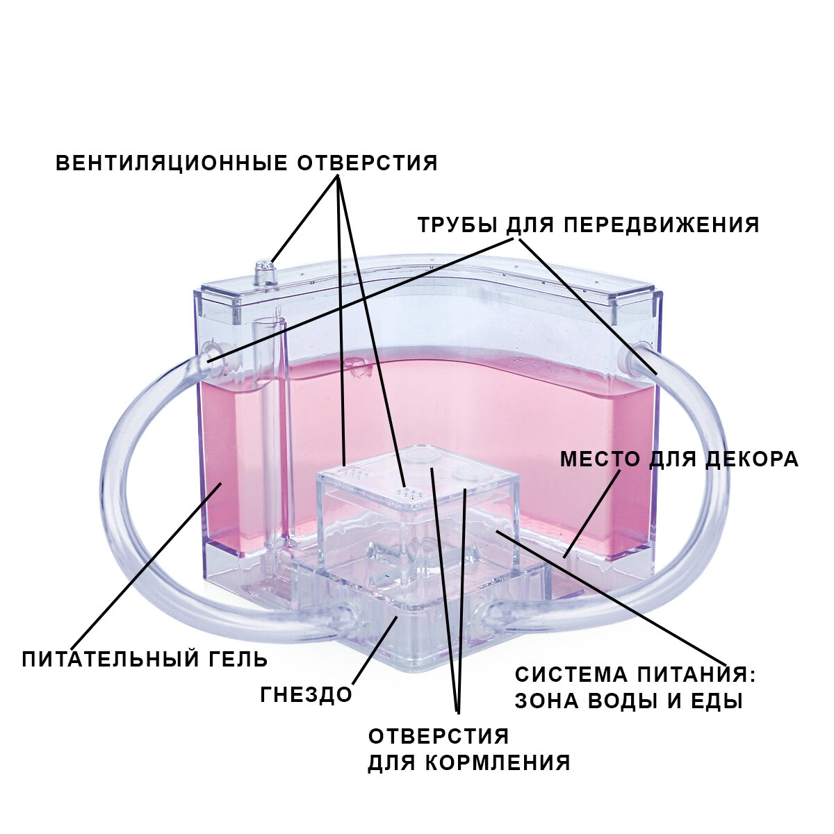 Муравьиная ферма, размер 12 x 12 x 12 см, домик для муравьев, голубой - фотография № 2