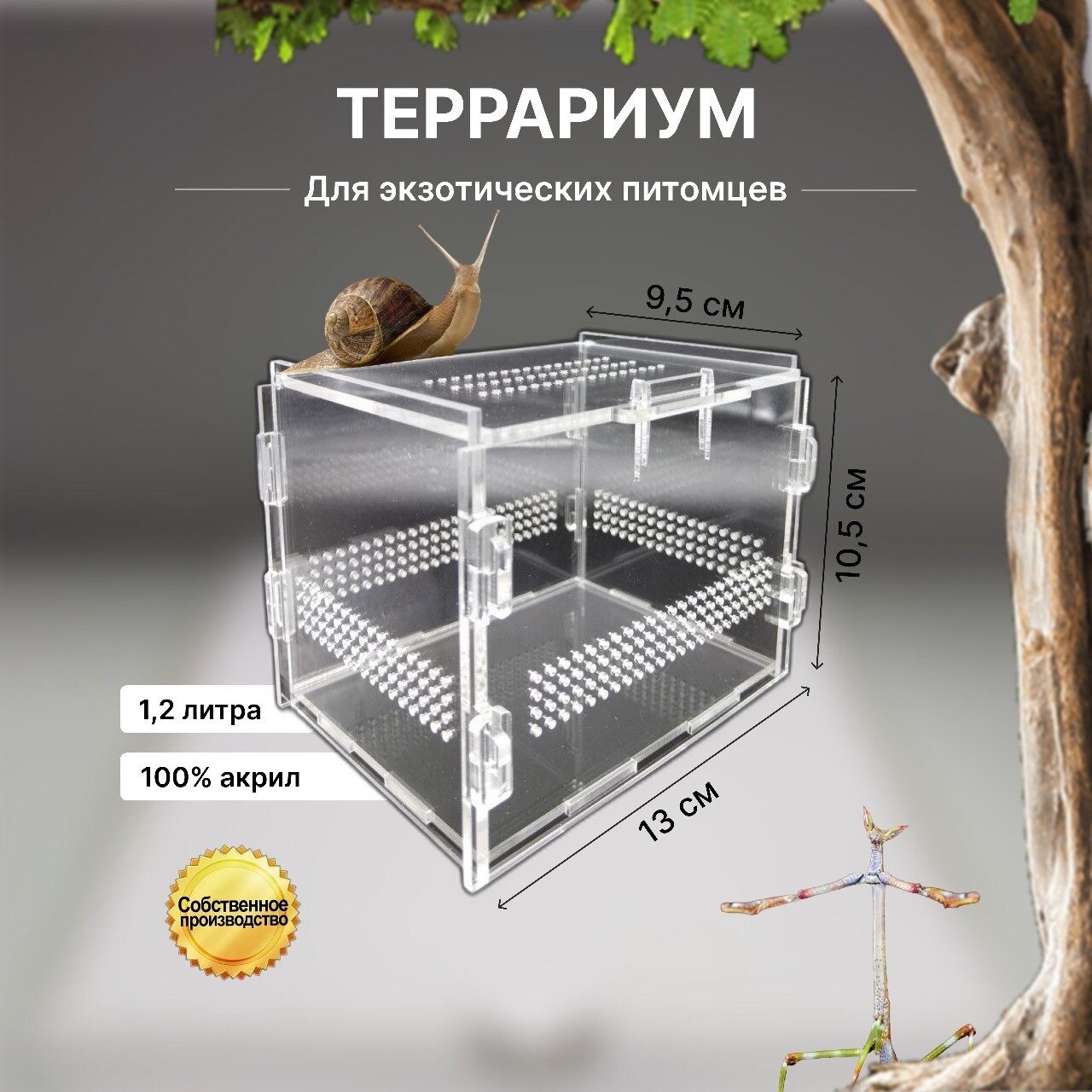 Переноска террариум террариум для паука террариум для рептилий террариумистика террариум для растений террариум для богомола
