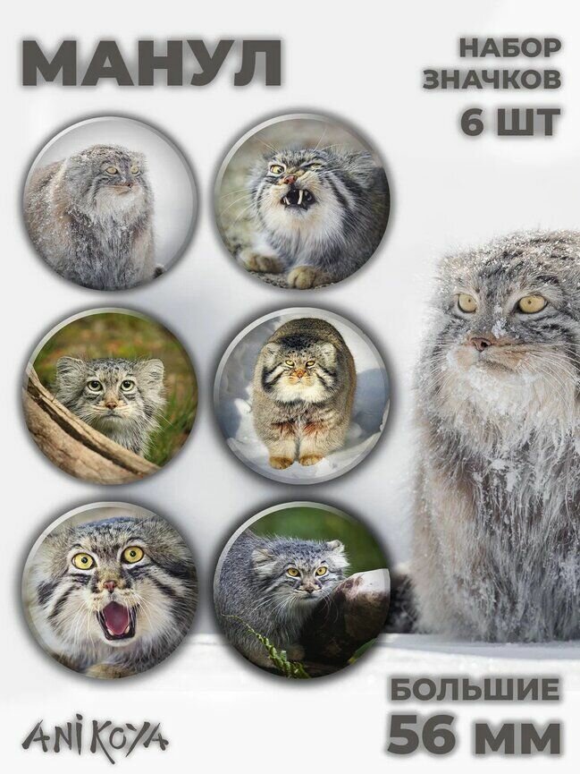 Значок AniKoya  6 шт 