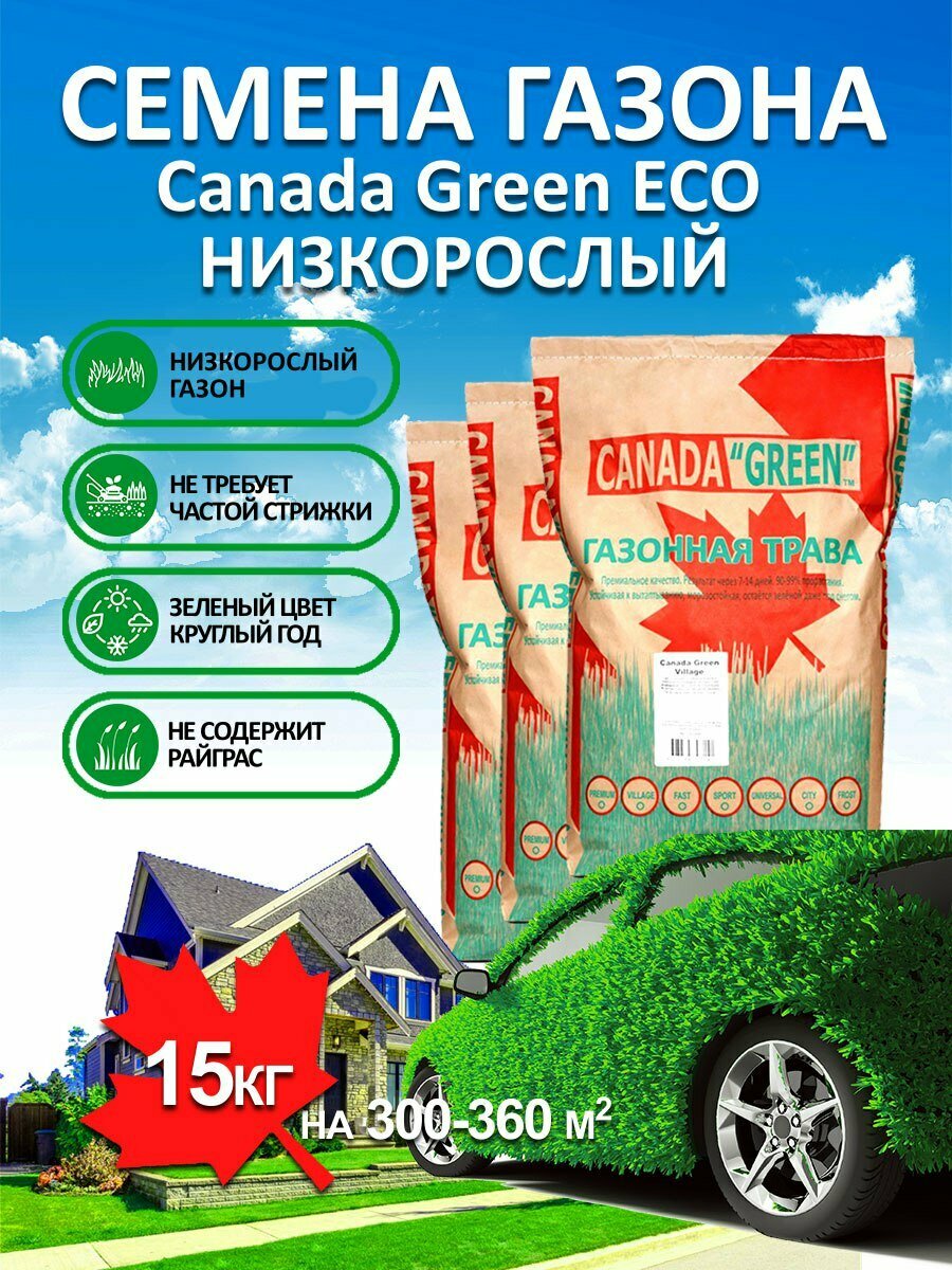 Газонная трава семена Канада Грин Низкорослый ECO 15 кг/ мятлик, овсяница семена