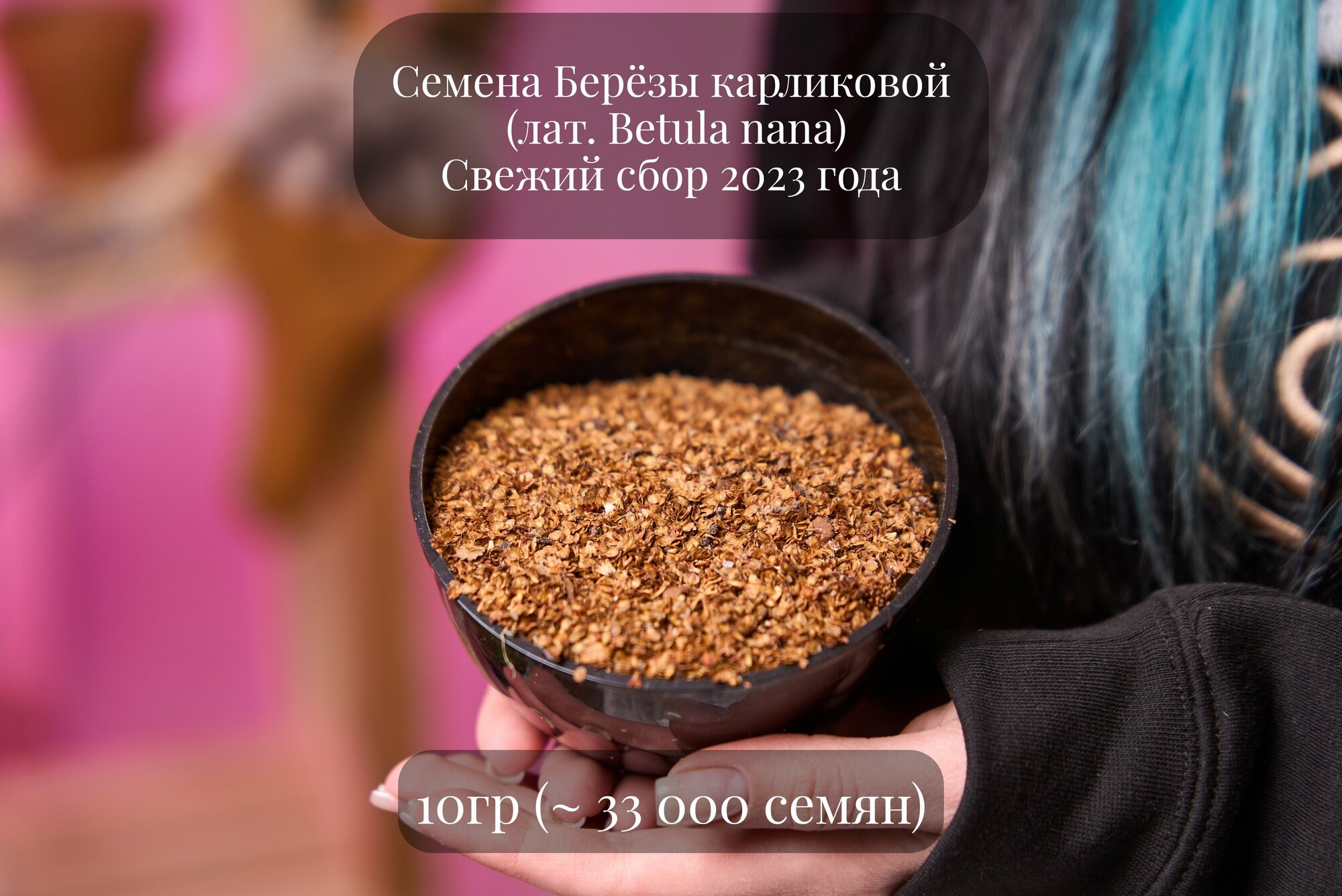 Семена Берёзы карликовой, берёзы малорослой, или берёзы карличной 10 грамм (примерно 33 000 шт)