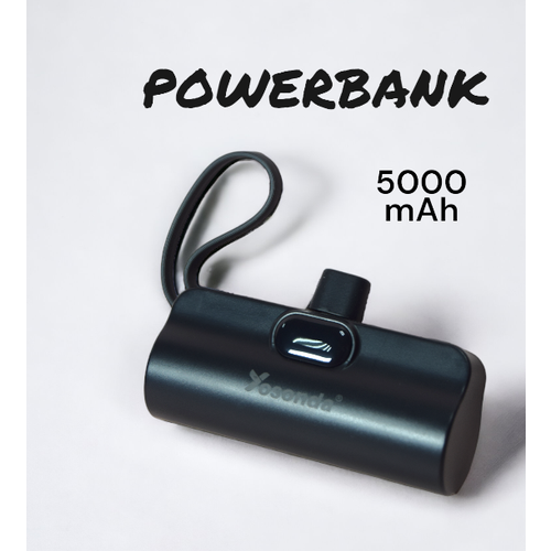 Мини-зарядное устройство/ PowerBank 5000 mAh/ Внешний аккумулятор с двумя разъемами Type-C и Lightning/ Черный