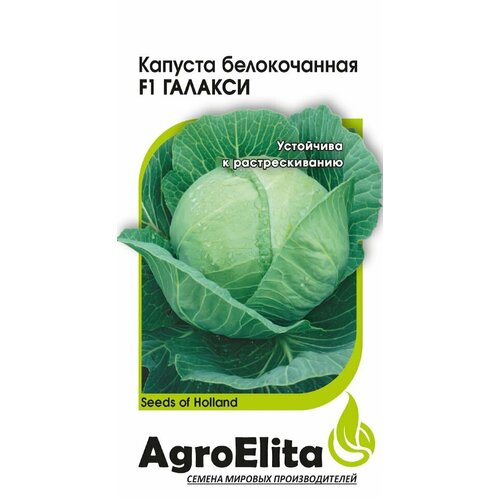 Семена Капуста белокочанная Галакси F1, 10шт, AgroElita, Seminis семена капуста белокочанная атрия f1 10шт agroelita seminis 3 упаковки