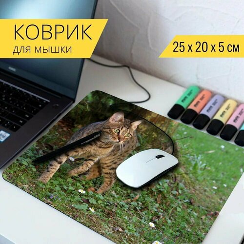 Коврик для мыши с принтом Кот, бенгальский кот, дикий 25x20см.