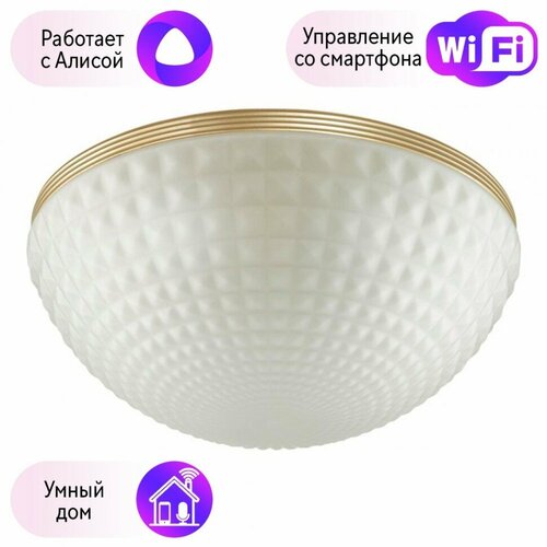 Потолочный светильник Odeon Light Malaga с поддержкой Алиса 49364C-A 11496₽