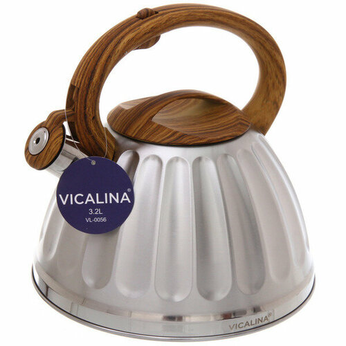 Чайник из нержавеющей стали 3,2л «Vicalina» глянцевый VL-0056