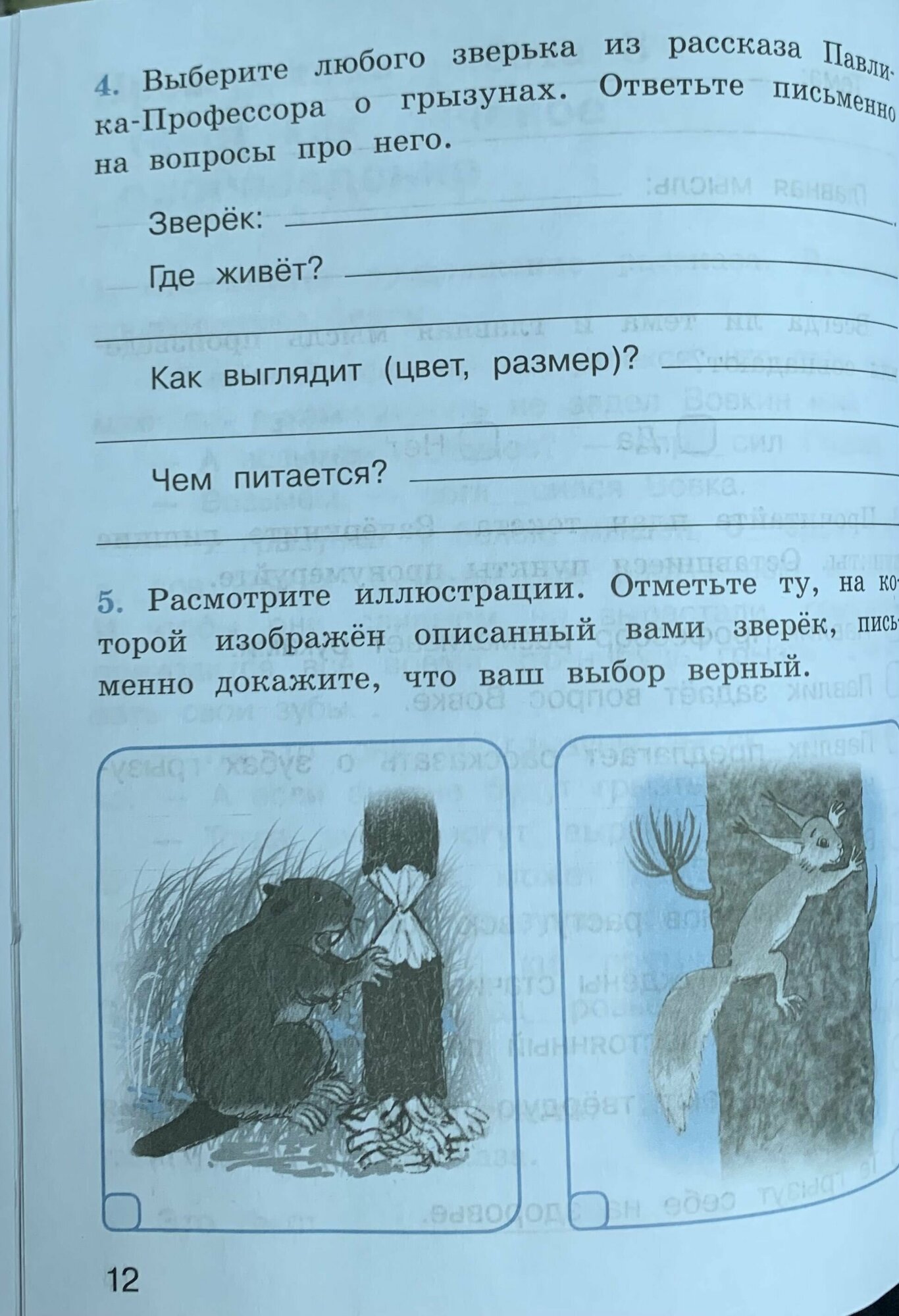 Русский язык. 4 класс. Проверочные работы. Учебное пособие. - фото №9