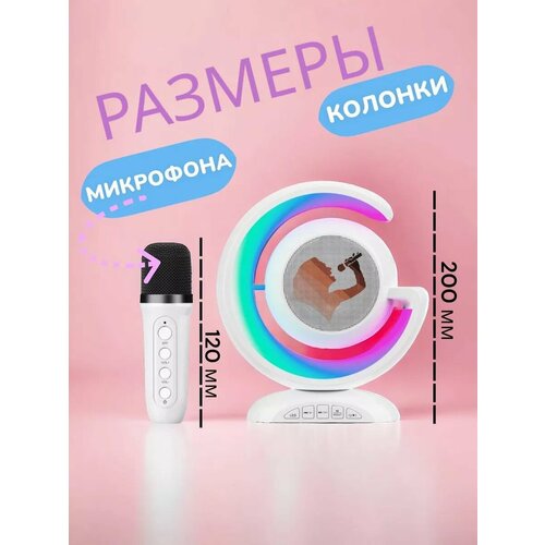 Портативная блютуз мини колонка караоке с 2-мя микрофонами белый музыкальная переносная колонка караоке система для дома и в путешествиях 322000₽