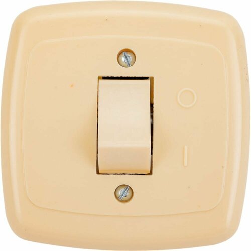 Одноклавишный выключатель ООО Ливны-Электро С1-002 УХЛ 4