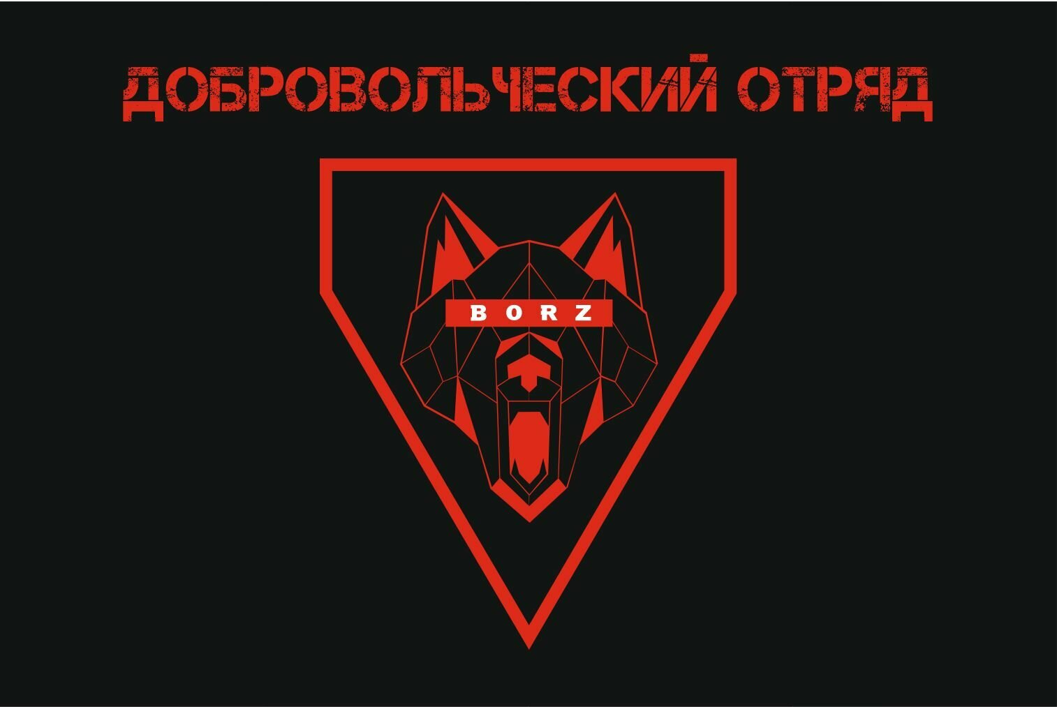 Флаг Добровольческий отряд "BORZ" 90*135 см большой