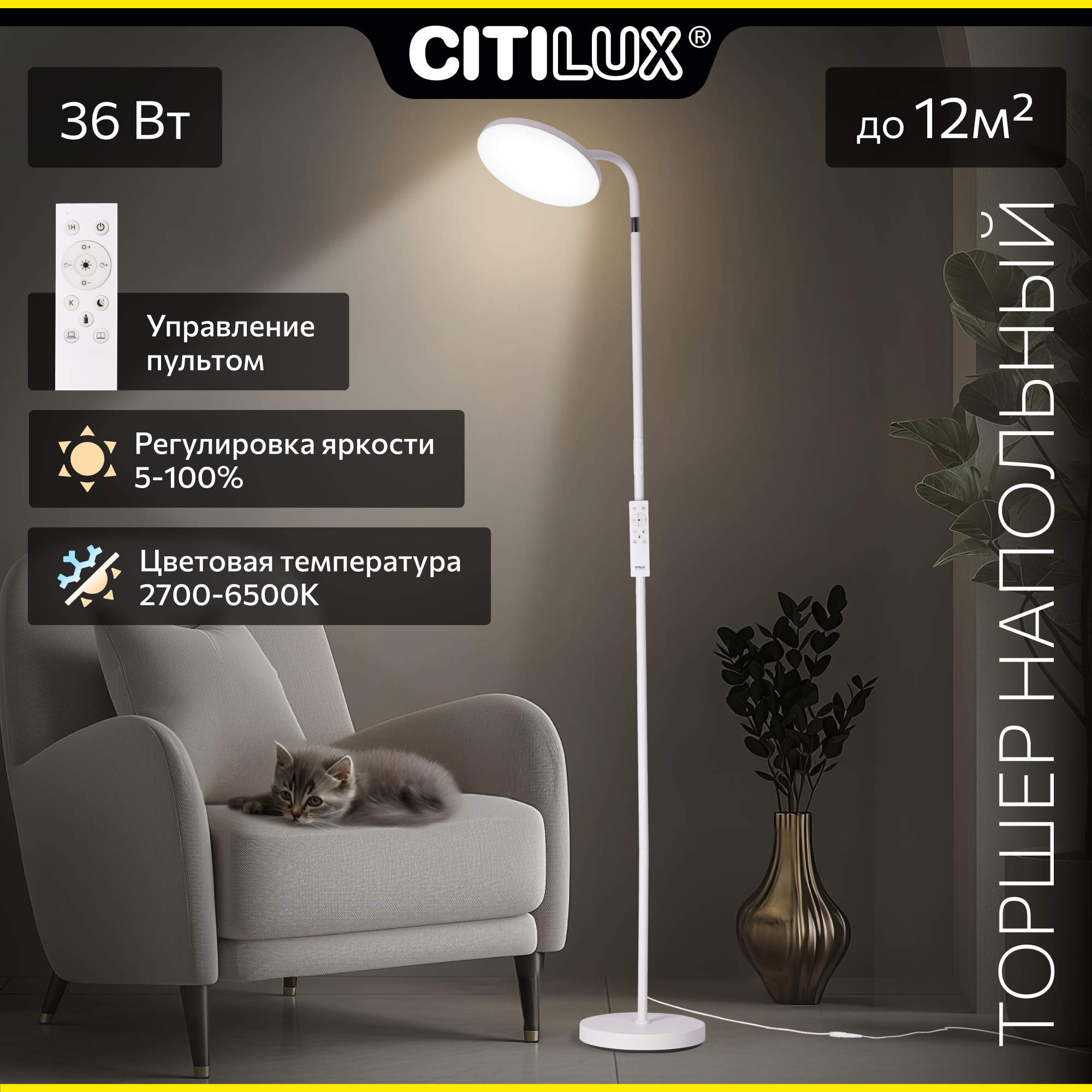 Citilux SOLO CL804060 LED Торшер с пультом Белый