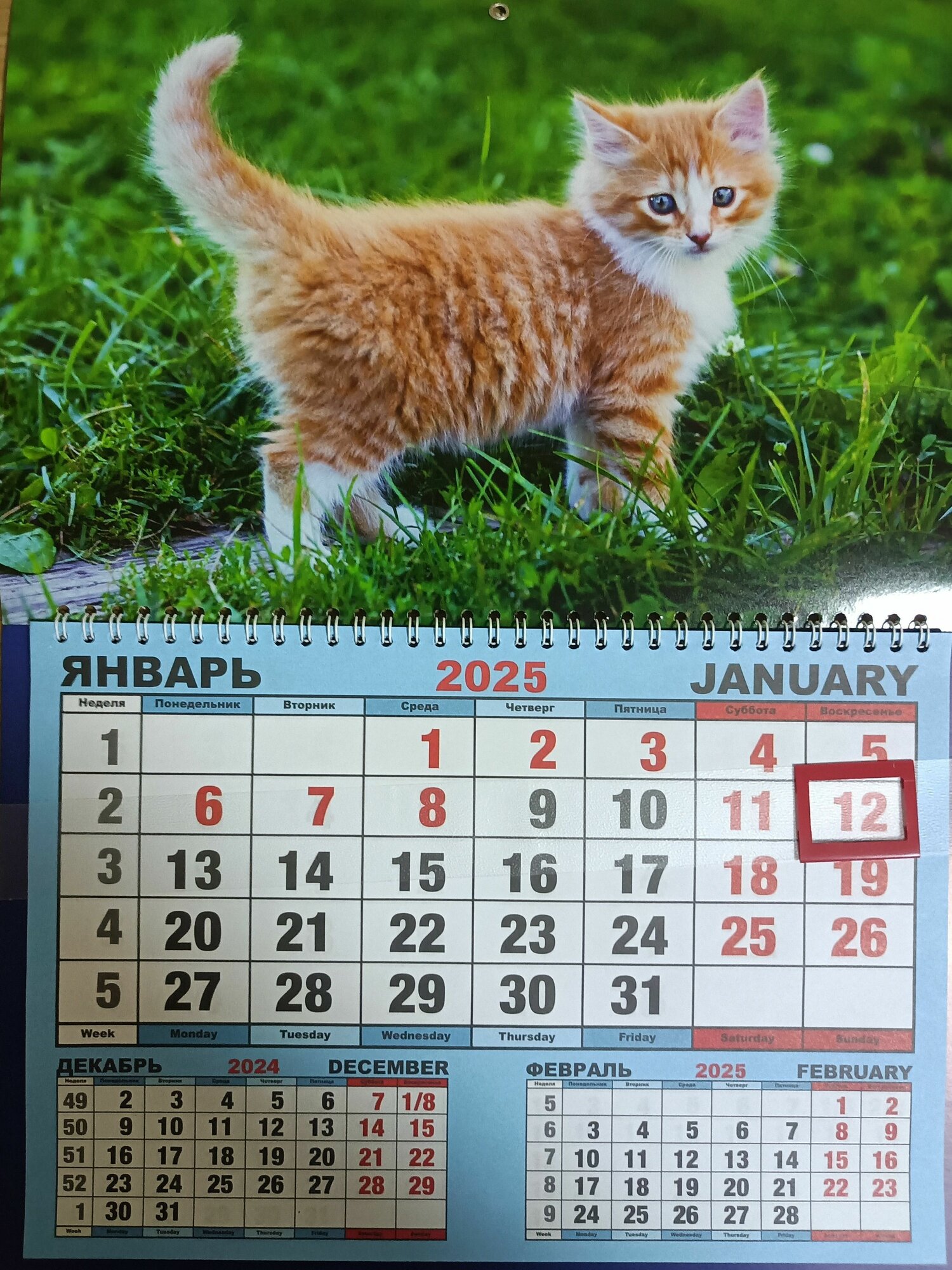 Календарь 2025 настенный одноблочный