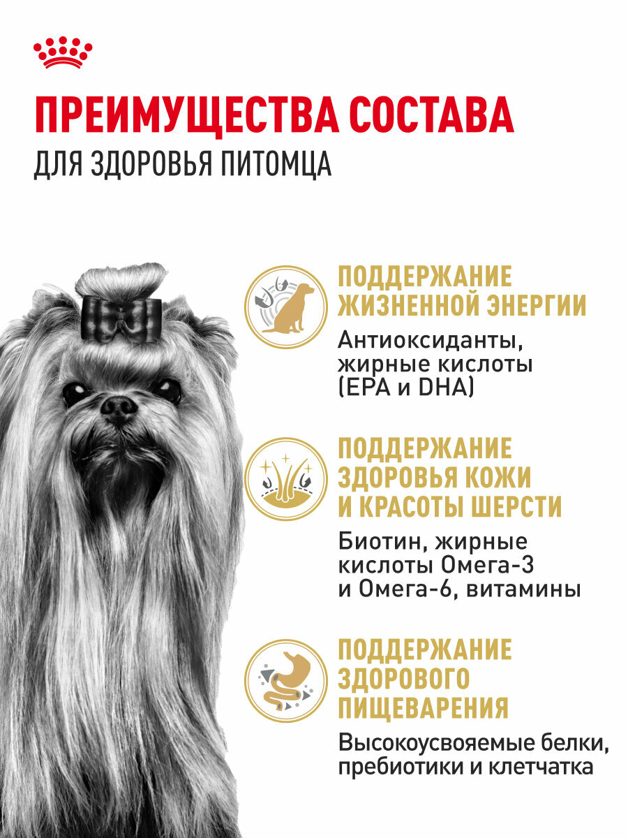 Сухой корм для собак старше 8 лет Royal Canin 8+ для породы йоркширский терьер, 1,5 кг — фото 1